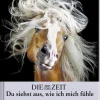 »Du siehst aus, wie ich mich fühle« -Buch