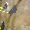 Gartenvogel »Anton Grünfink«