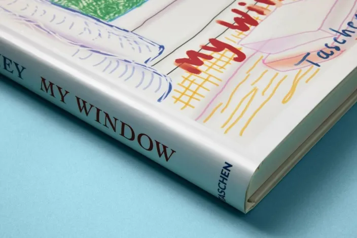 Hockney, David: My Window