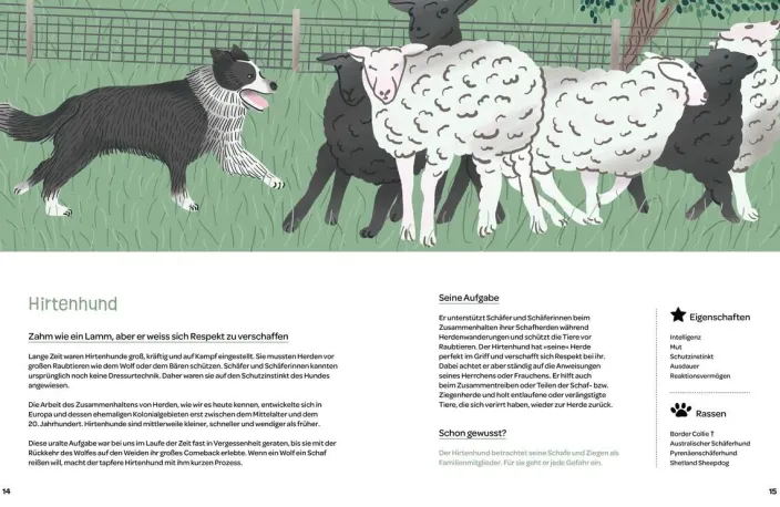 Hunde am Werk
