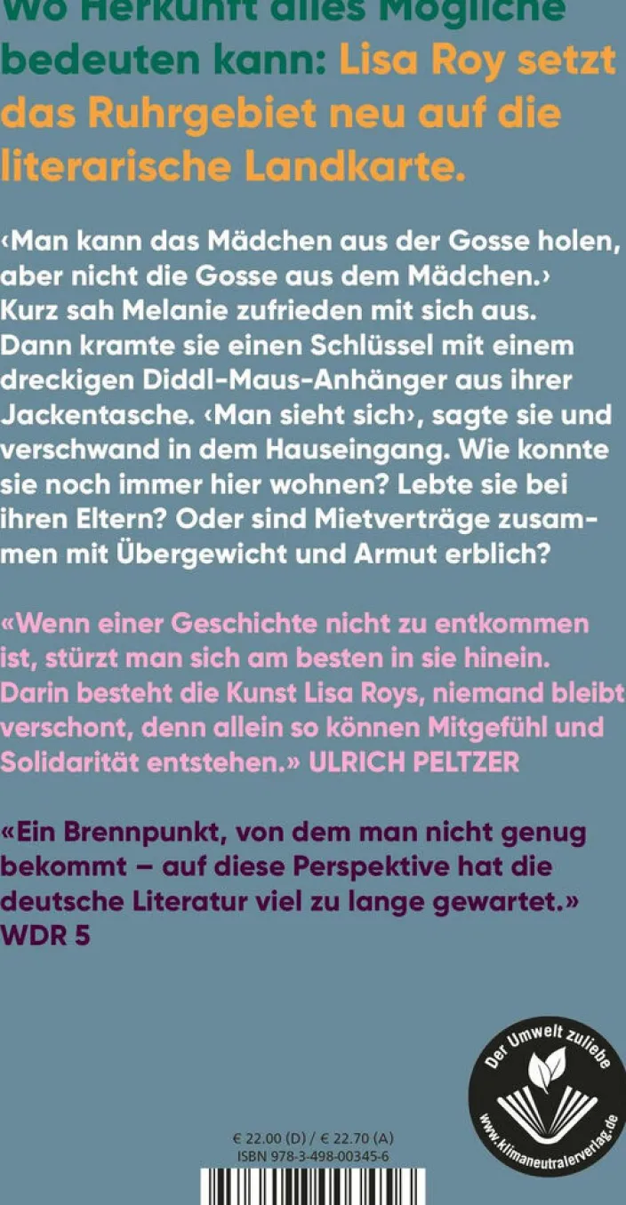 Roy, Lisa: Keine gute Geschichte