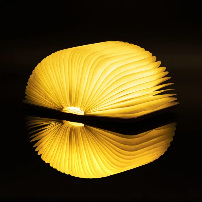 Smart Booklight »Ahorn«