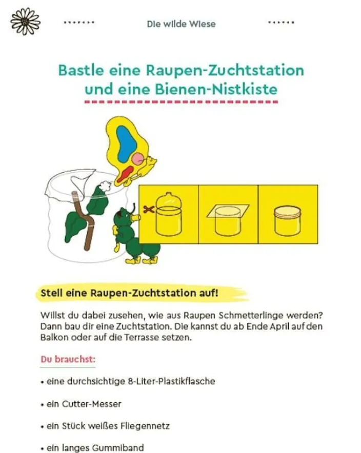 ZEIT LEO-Outdoor-Erlebnisbuch